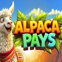 Login No Casinomia Online